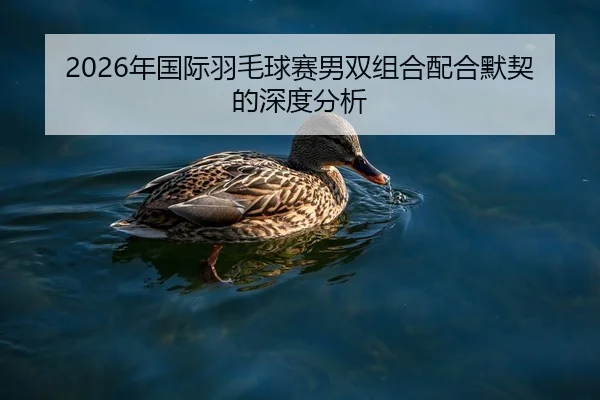 2026年国际羽毛球赛男双组合配合默契的深度分析