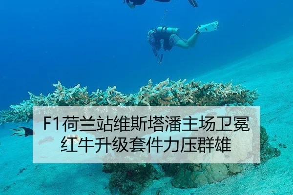 F1荷兰站维斯塔潘主场卫冕 红牛升级套件力压群雄
