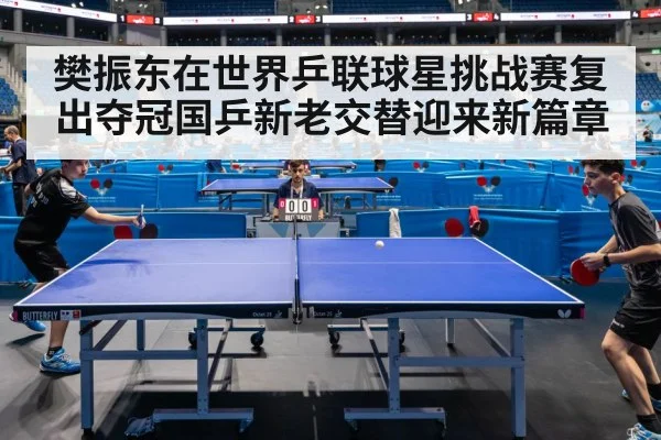 樊振东在世界乒联球星挑战赛复出夺冠国乒新老交替迎来新篇章